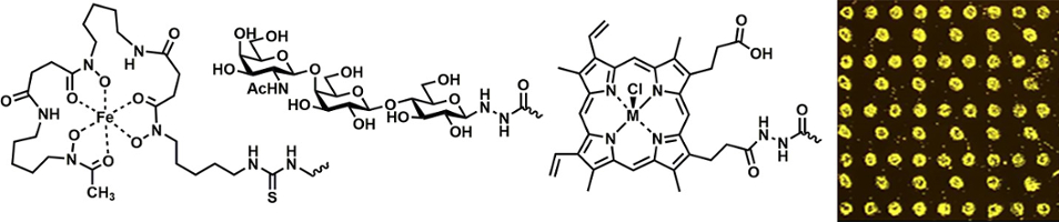 Immutable ligands